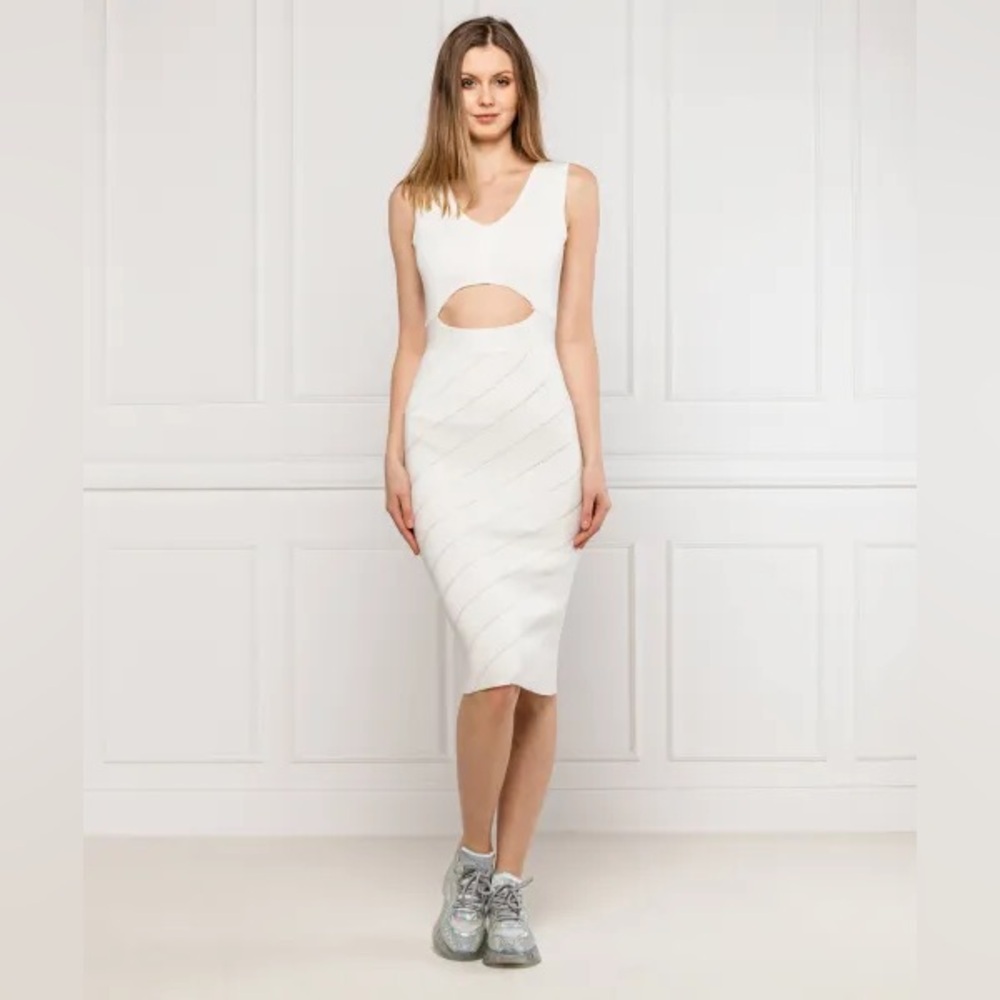 PINKO NAURU DRESS NWT